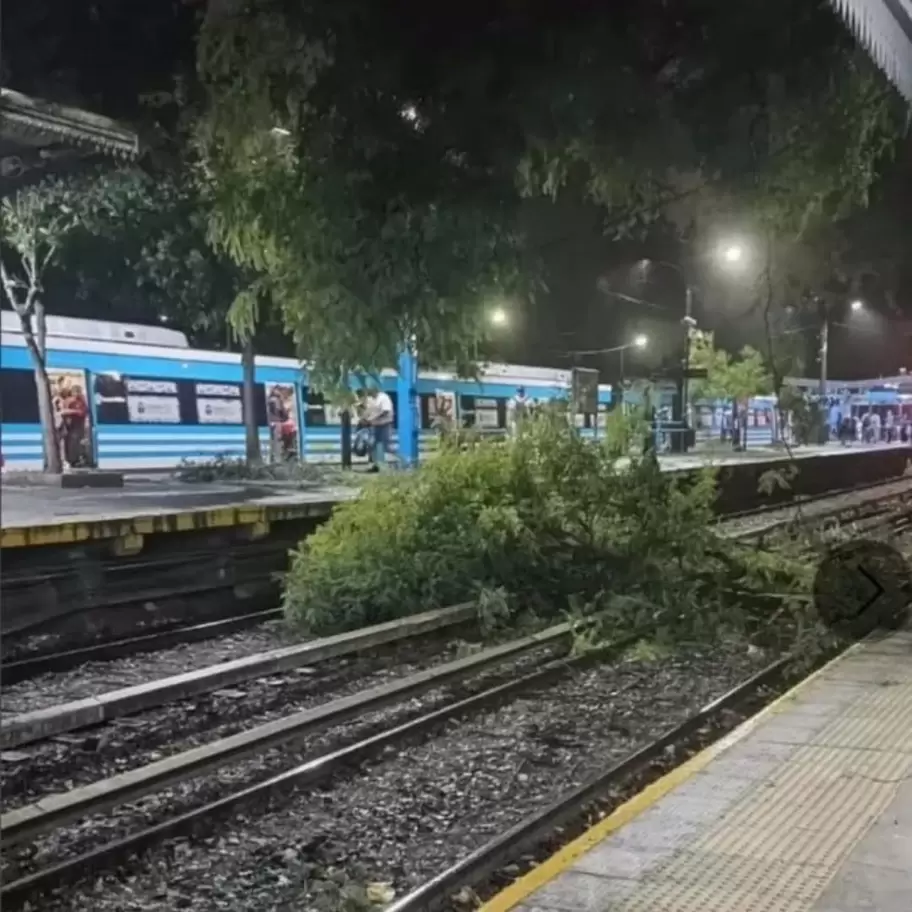 El servicio del tren Sarmiento debi ser interrumpido debido a un rbol cado en la estacin de Haedo