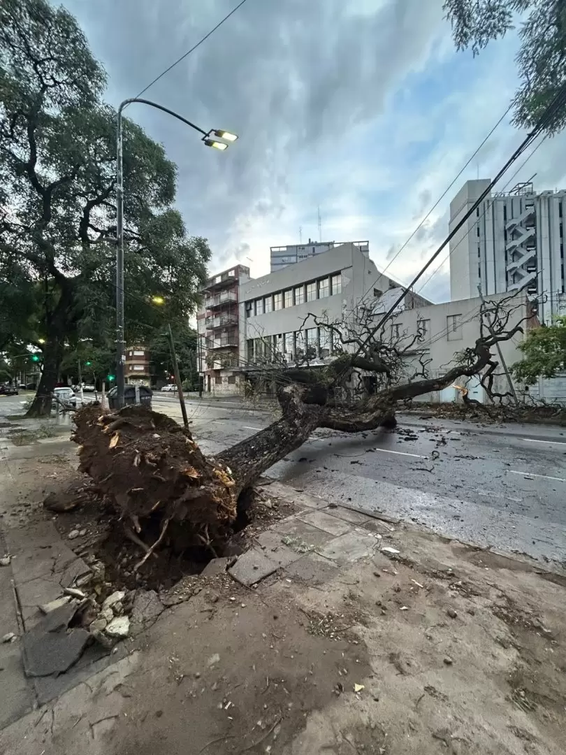 Un fuerte temporal se registr en la zona del AMBA con rfagas superiores a los 80 km/h