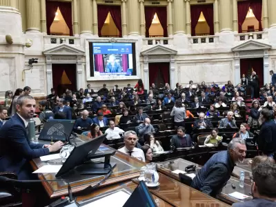 Martn Menem en la cmara de Diputados