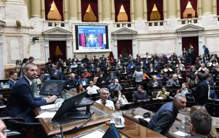 Martn Menem en la cmara de Diputados