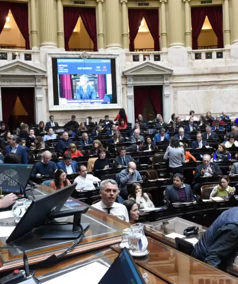 Martn Menem en la cmara de Diputados