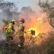 Argentina arde y la tragedia no da tregua: las llamas consumieron en Corrientes ms de 90 mil hectreas