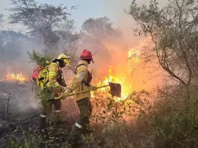 En la provincia de Corrientes ya se quemaron unas 250 mil