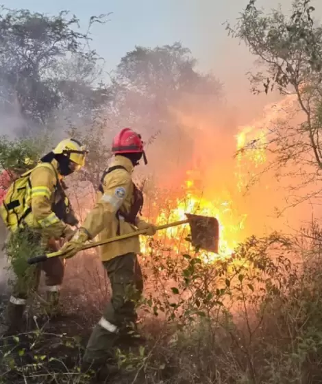 En la provincia de Corrientes ya se quemaron unas 250 mil