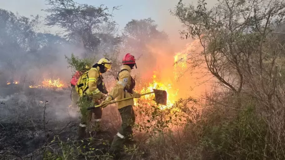 En la provincia de Corrientes ya se quemaron unas 250 mil