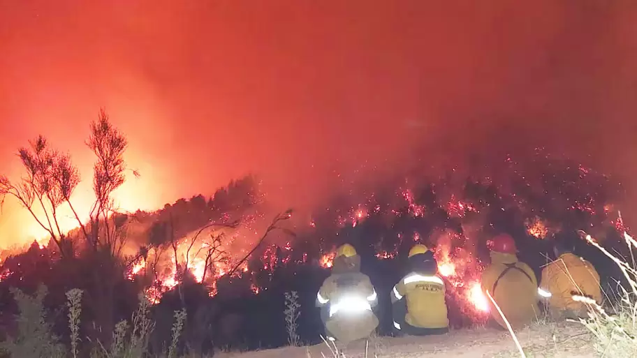 Miles de vecinos marcharon esta noche en Ro Negro, Chubut y Neuqun por los incendios