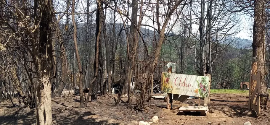 Postales de cmo se llevaron los hogares los incendios forestales que asolaron El Bolsn.