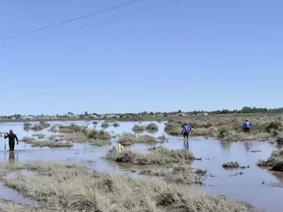 Los voluntarios y rescatistas trabajan buscando a los 94 desaparecidos que todava hay, tras la terrible tormenta que atraves Baha Blanca.