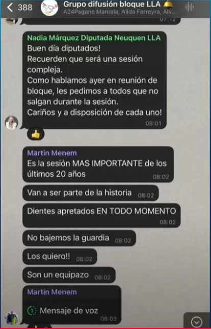 El chat libertario antes del debate en el Congreso