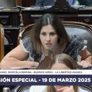 Marcela Pagano desafi a Martn Menem y expuso la crisis institucional en Diputados: "Fascista!"