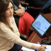 La motosierra no perdona: qu pasar con los y las nias del jardn maternal que Villarruel cerr