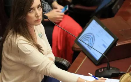 Victoria Villarruel en el Senado