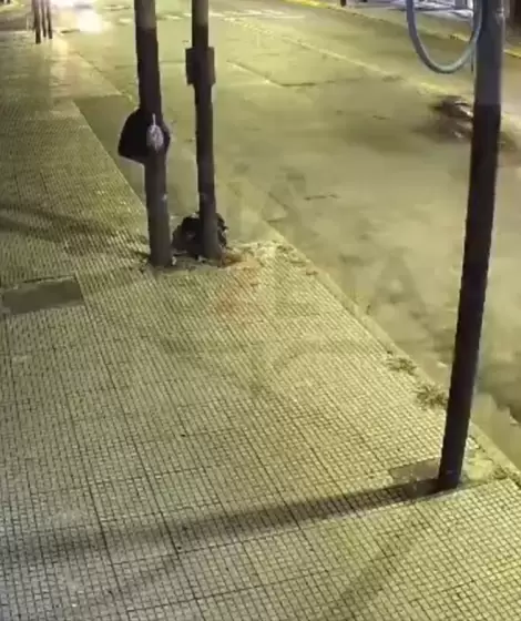 El joven atropellado por un patrullero que iba a contramano y la familia que clama justicia