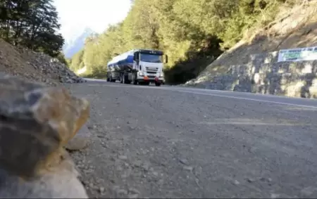 En la Ruta provincial 6 de Río Negro, una madre quiso lanzar a su hija de dos años debajo de un camión.