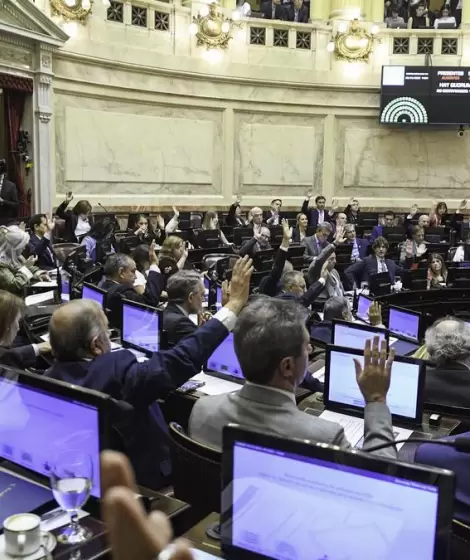 Senado