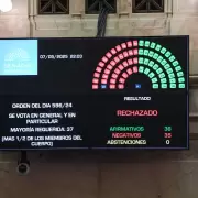 Ficha Limpia, rechazada en el Senado: cmo se fren el proyecto que exclua a condenados de las listas