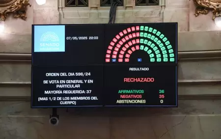 El Senado rechazó el proyecto Ficha Limpia