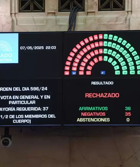 El Senado rechazó el proyecto Ficha Limpia