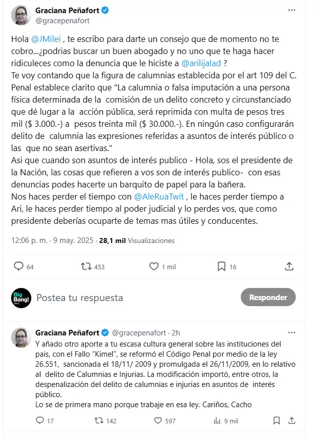 La abogada Graciana Peafort le record a Milei la despenalizacin del delito de calumnias e injurias