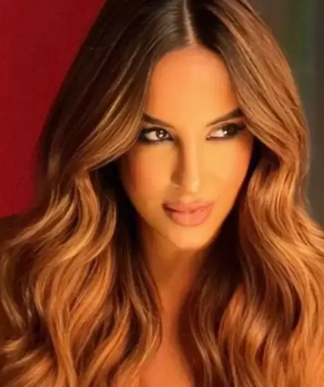 Lourdes Sánchez