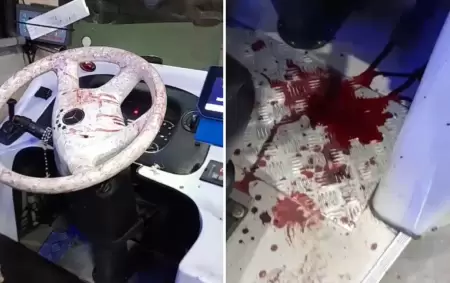 Paro en la línea 126 de colectivos por el robo y agresión a un chofer