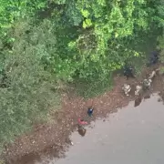 Misterio en la selva misionera: desesperada búsqueda de un niño de 10 año en El Soberbio