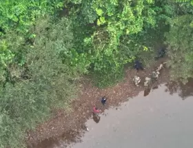 Más de 200 efectivos, drones con cámaras térmicas, canes rastreadores, patrullas montadas, buzos tácticos y grupos especial recorren el lugar.