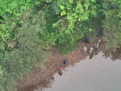 Más de 200 efectivos, drones con cámaras térmicas, canes rastreadores, patrullas montadas, buzos tácticos y grupos especial recorren el lugar.