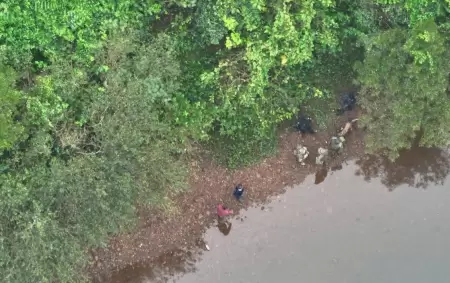 Más de 200 efectivos, drones con cámaras térmicas, canes rastreadores, patrullas montadas, buzos tácticos y grupos especial recorren el lugar.