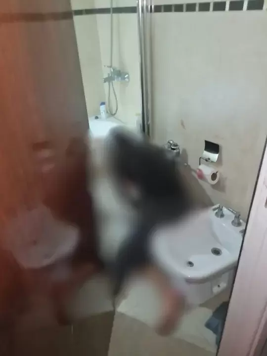 En el baño, fue hallada Laura Leguizamón, madre de los chicos y principal sospechosa de la masacre.