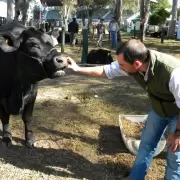 Ni los animalitos se salvan de la motosierra de Sturzenegger: la amenaza de desmantelar al SENASA