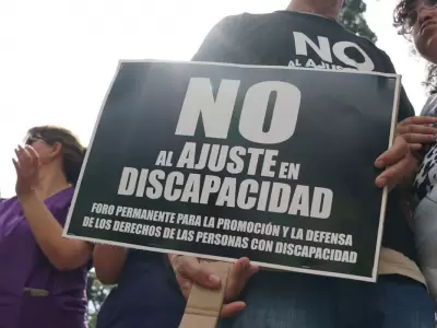 Desprotección estatal y falta de representación por parte de organismos como la Agencia Nacional de Discapacidad (ANDI)