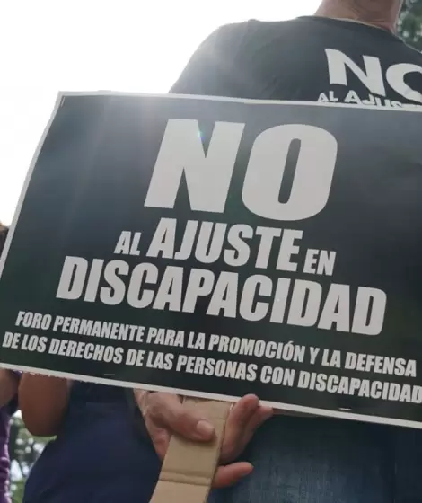Desprotección estatal y falta de representación por parte de organismos como la Agencia Nacional de Discapacidad (ANDI)