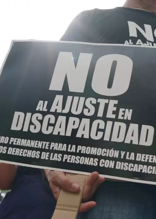 Desprotección estatal y falta de representación por parte de organismos como la Agencia Nacional de Discapacidad (ANDI)