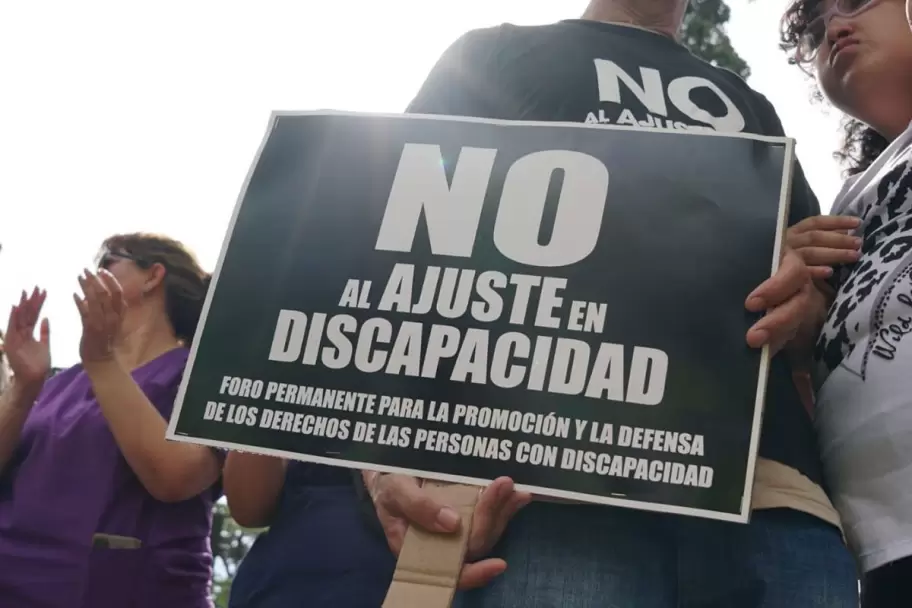 Desprotección estatal y falta de representación por parte de organismos como la Agencia Nacional de Discapacidad (ANDI)