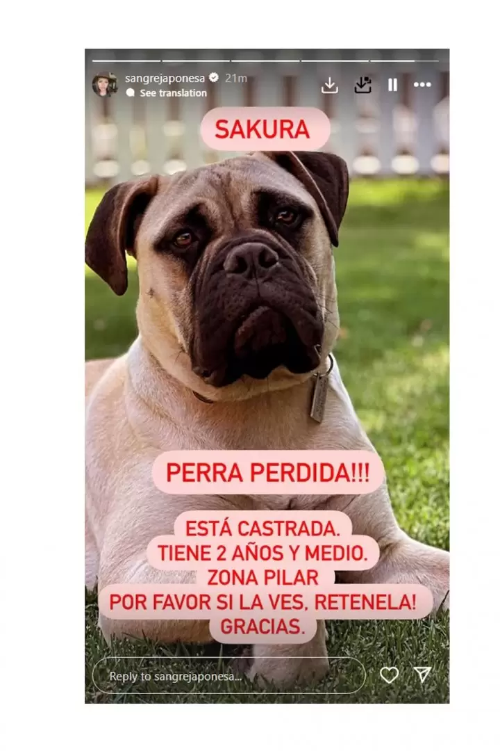 El pedido desesperado de la China Suárez