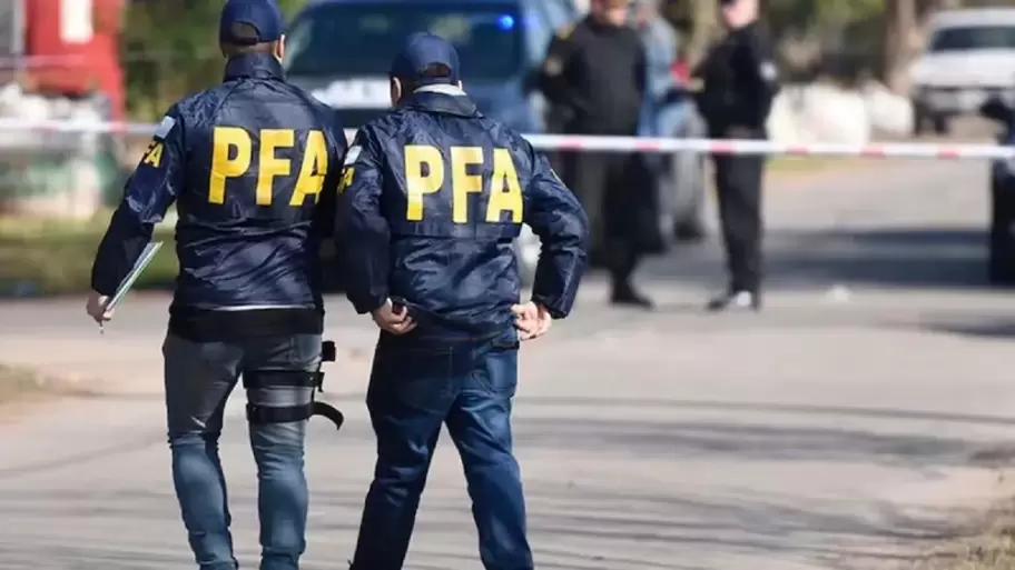 El Estatuto implementa un nuevo sistema de ingreso a la PFA, dirigido a graduados universitarios, tomando como modelo formativo los métodos del FBI