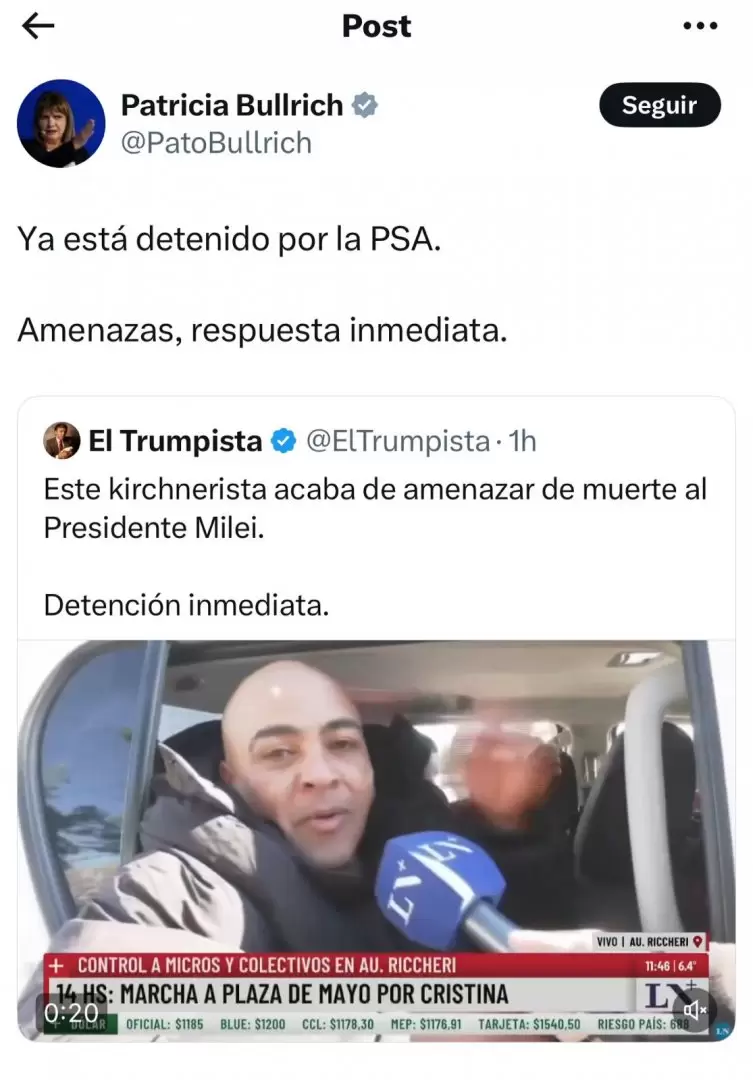 Patricia Bullrich confirm la detencin del manifestante que amenaz a Javier Milei