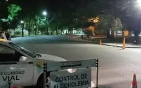 Control de alcoholemia