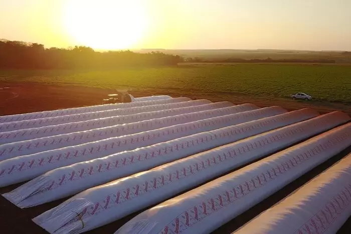 Las silo bolsas debern vaciarse rpidamente para no caer en el nuevo esquema de retenciones.