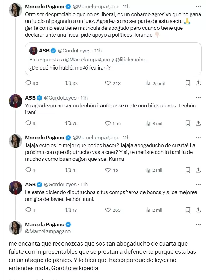La pelea de Marcela Pagano en redes sociales con Lilia Lemoine y otros trolls de La Libertad Avanza.