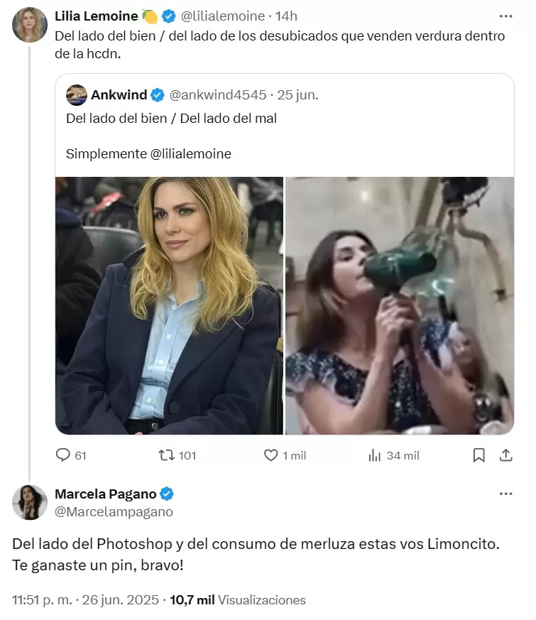 La pelea de Marcela Pagano en redes sociales con Lilia Lemoine y otros trolls de La Libertad Avanza.
