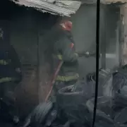 Tragedia en Parque Avellaneda: murió una persona, 20 gatos y siete perros en un brutal incendio