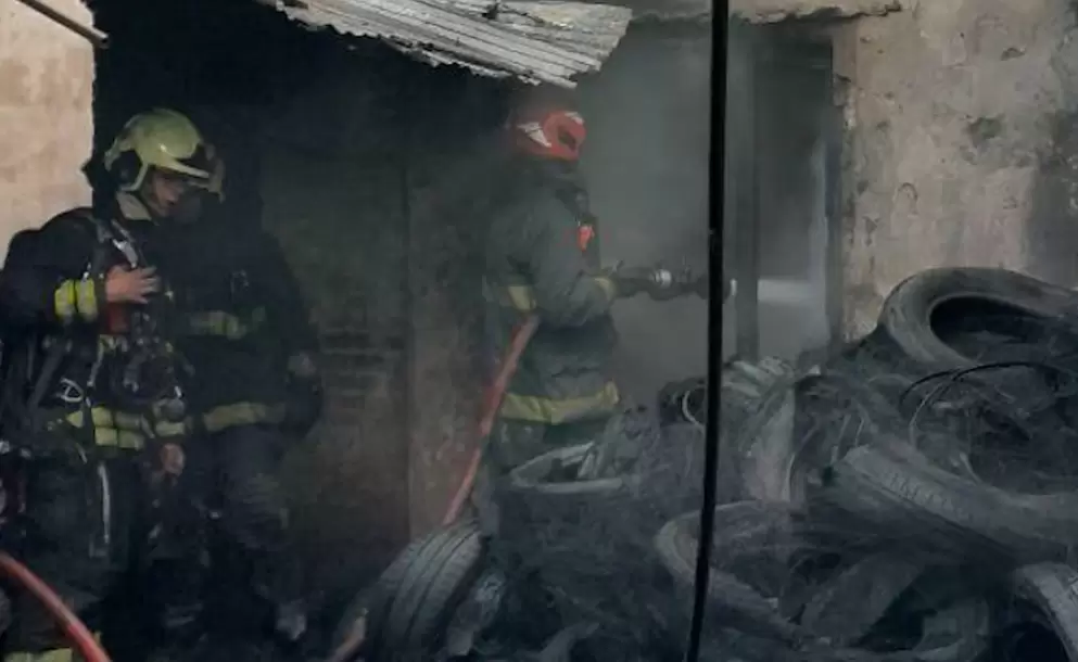 Tragedia en Parque Avellaneda: murió una persona, 20 gatos y siete perros en un brutal incendio