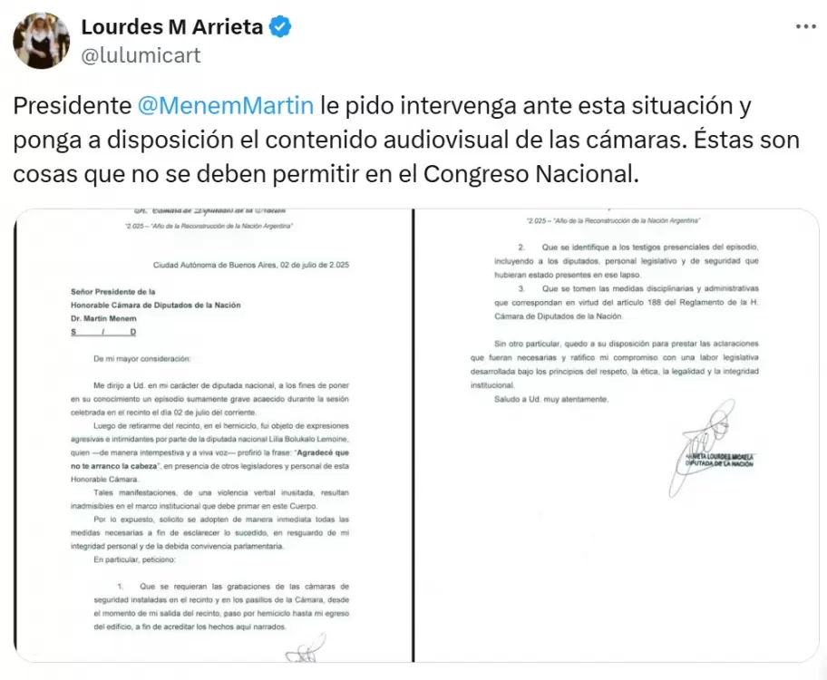 La denuncia de Lourdes Arrieta a Martín Menem por las agresiones que sufrió por parte de Lilia Lemoine.