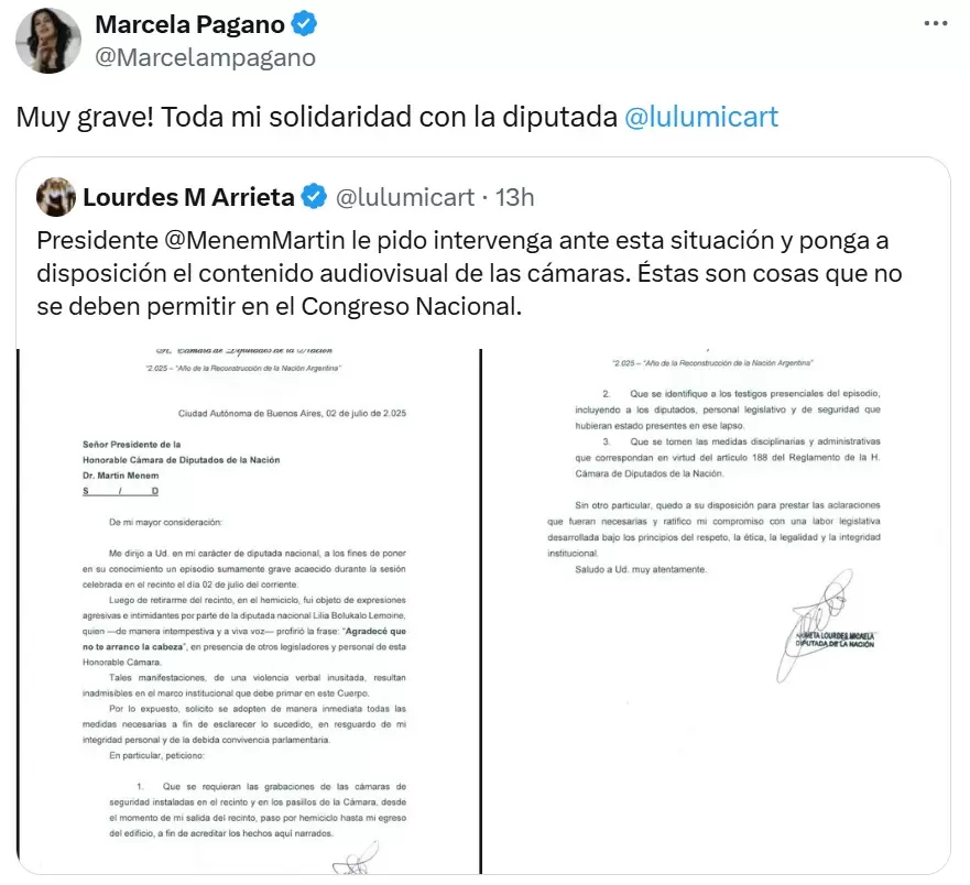 Marcela Pagano se solidarizó con la agresión que sufrió Lourdes Arrieta por parte de Lilia Lemoine.