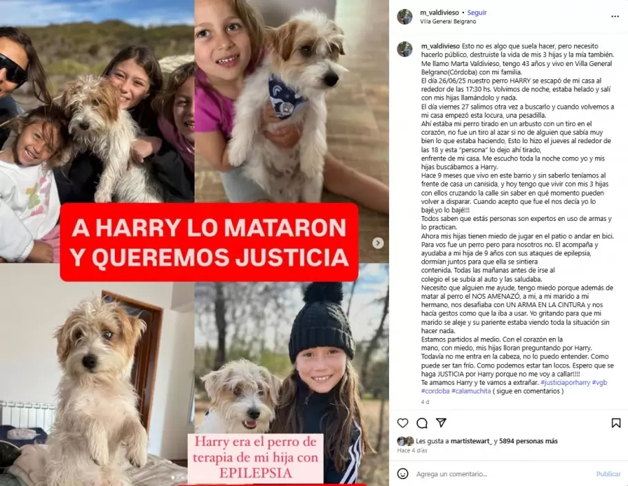 La publicación de Marta Valdivieso con la denuncia pública al asesino del perro de su hija.