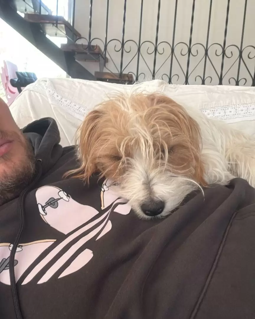 Harry, el pero asesinado de un balazo en el corazón por orinar un neumático.