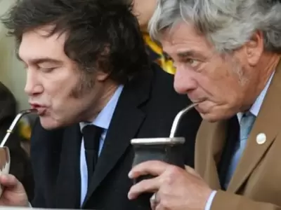 Javier Milei y Nicolás Pino