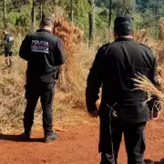 Apareci un hombre mutilado en una plantacin en Misiones: estaba semidesnudo y le faltaban los ojos